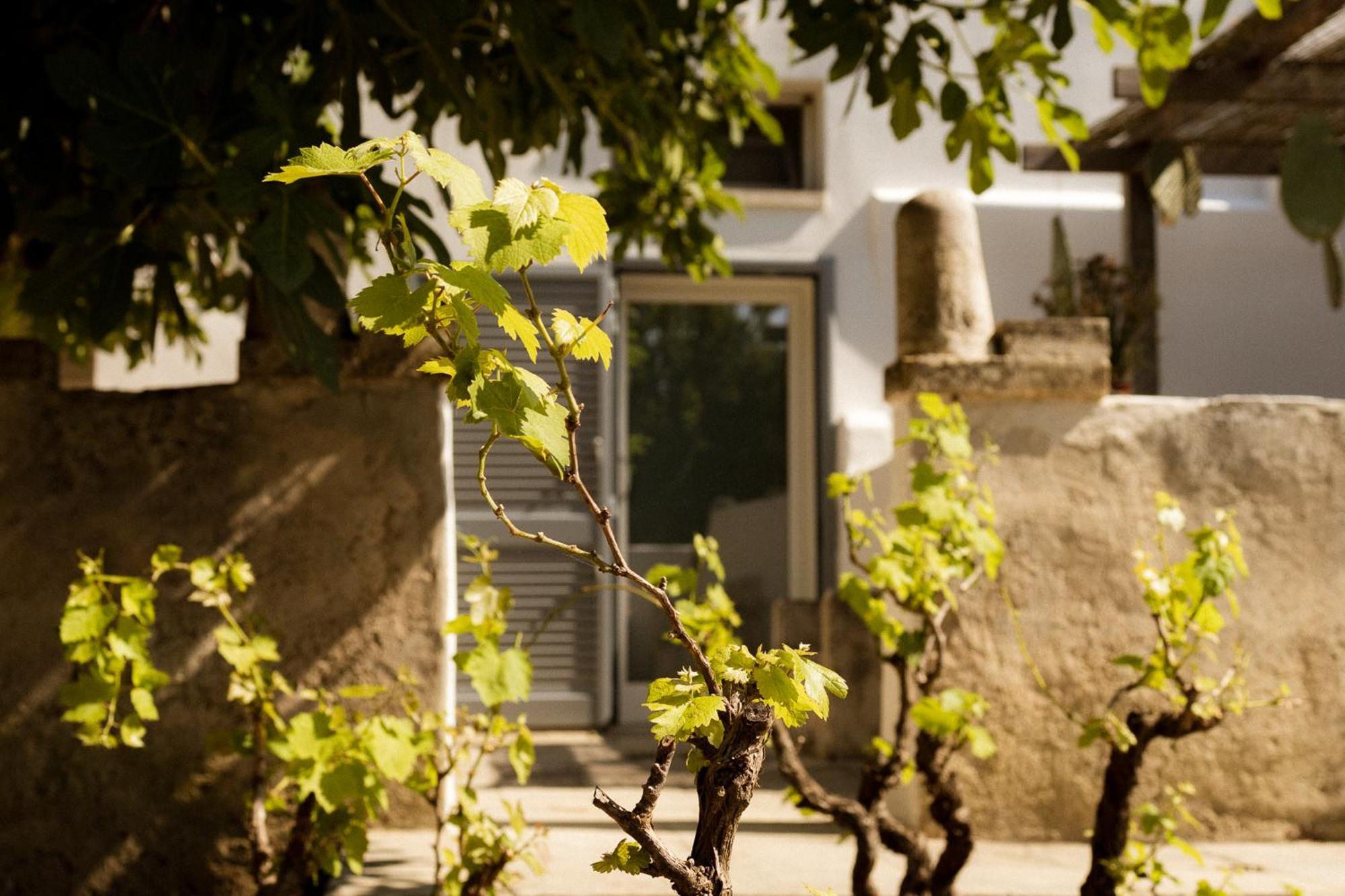 Casale Alle Vigne Hotel Nardo Exterior photo