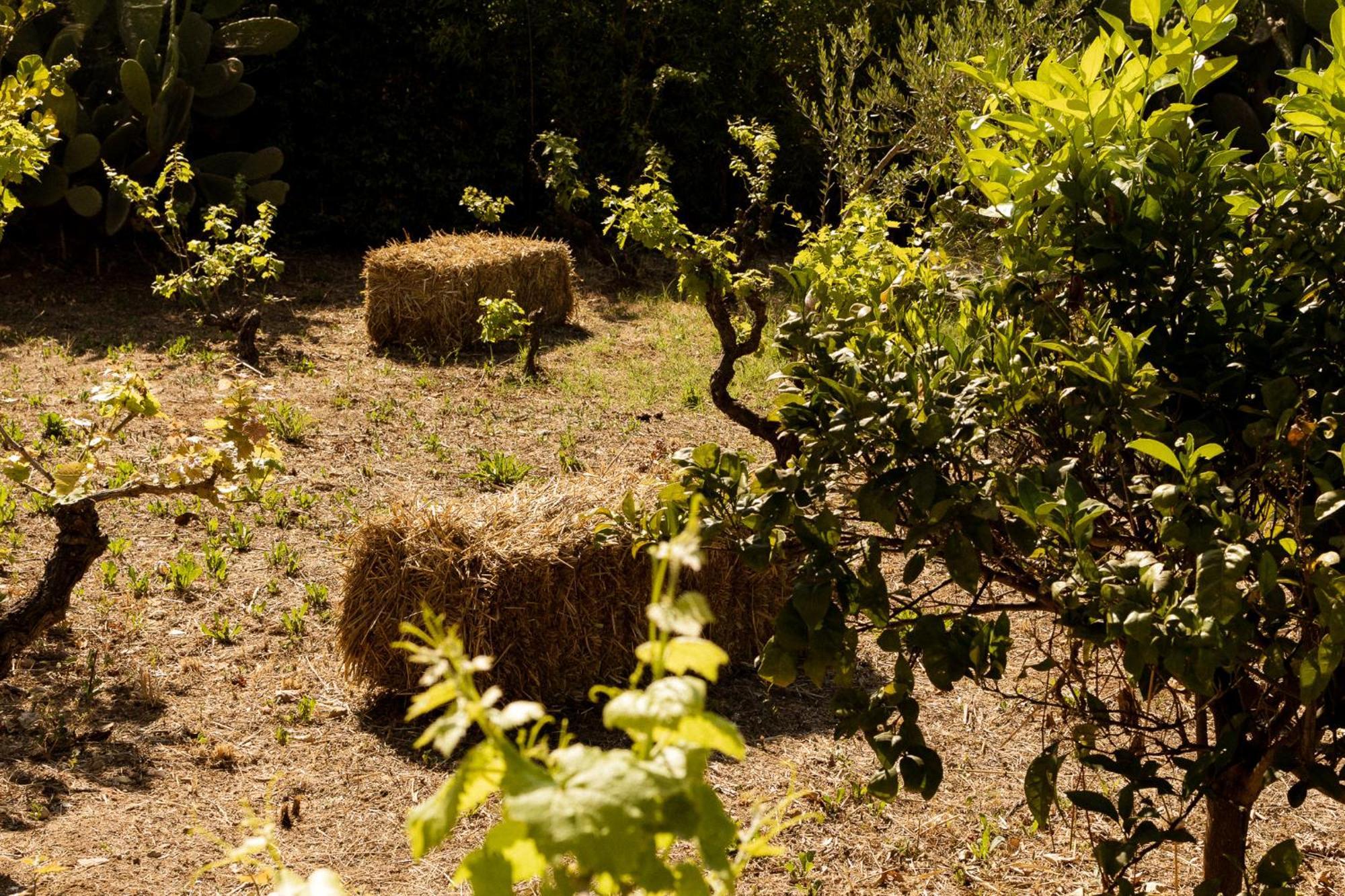 Casale Alle Vigne Hotel Nardo Exterior photo